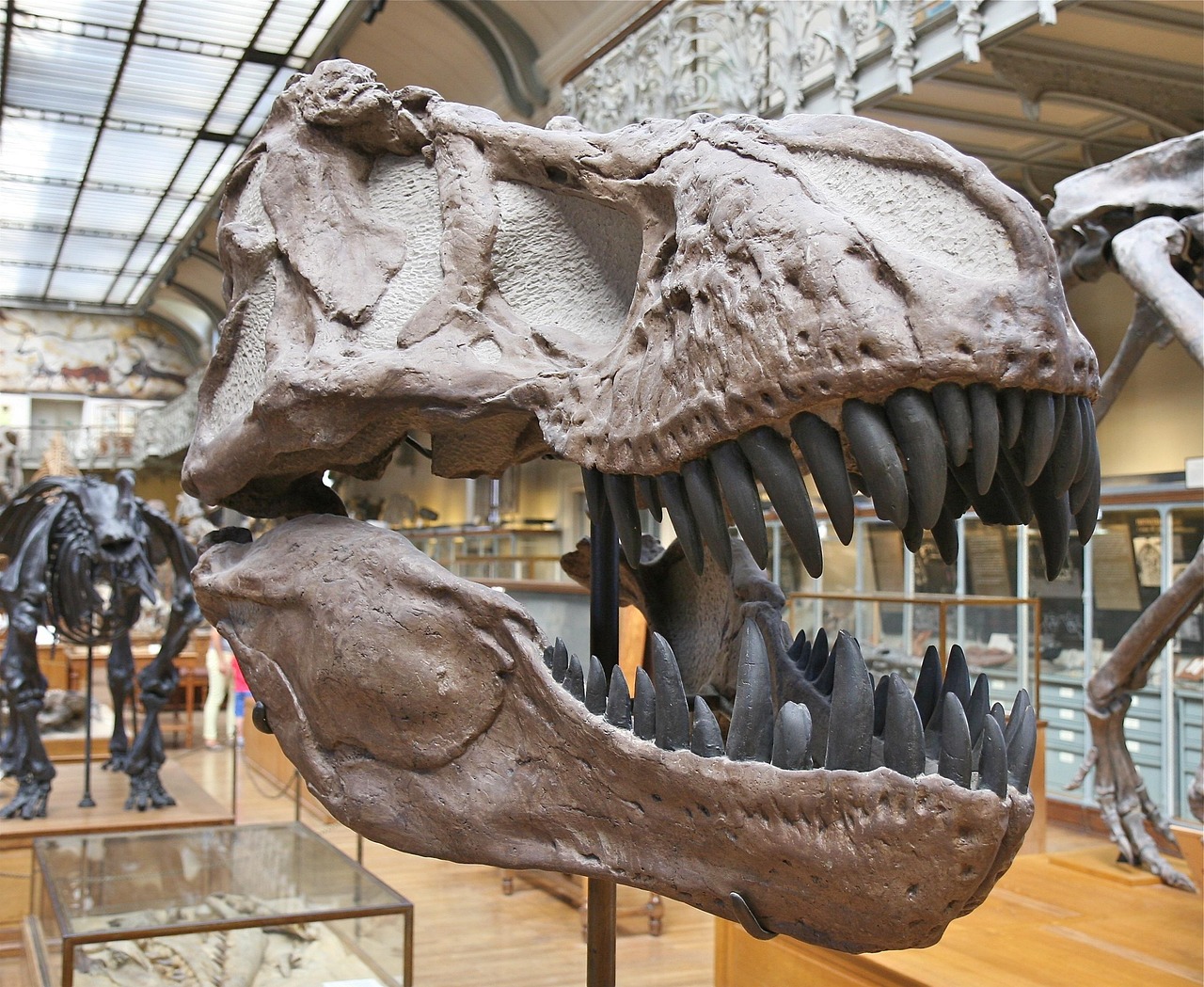 San Diego Natural History Museum